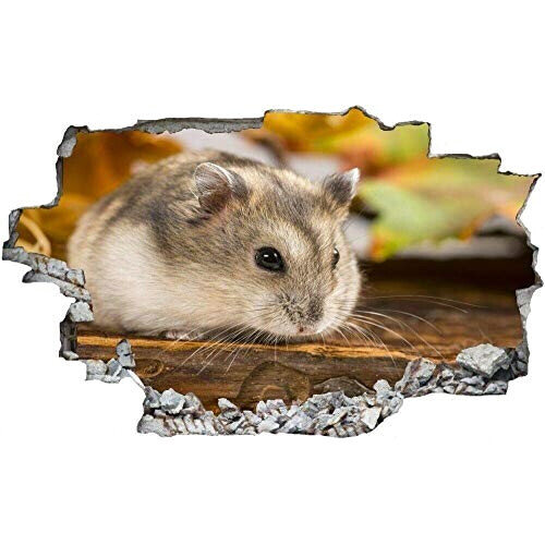 Sticker mural Hamster gris variant 2 