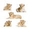 Sticker mural Lion blanc - miniature