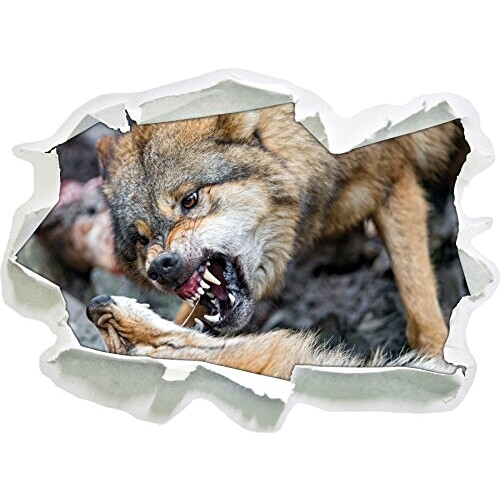 Sticker mural Loup 3D 62x45 cm