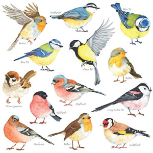 Sticker mural Oiseau multicolore 1 pièces 29 cm