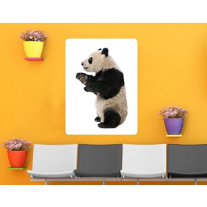 Sticker mural Panda 144x108 cm