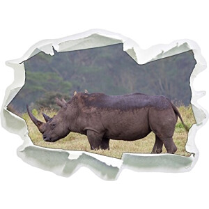 Sticker mural Rhinocéros 3D 92x67 cm