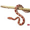 Sticker mural Serpent 76x53 cm - miniature