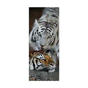 Sticker mural Tigre gris 3D 90x200 cm