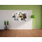 Sticker mural Tortue 3D 92x67 cm - miniature variant 3